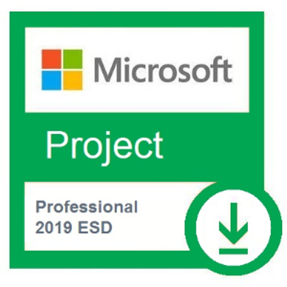 Project Professional 2019 ESD