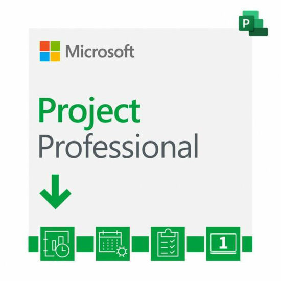 Project Professional 2021